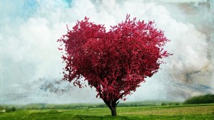 love-heart-tree-nature-background-hd-wallpaper